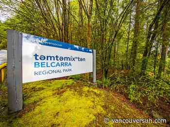Wildfire burning in Belcarra Park near Port Moody
