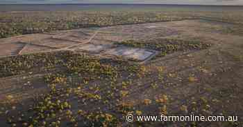 Developed cattle property with gas and gravel income heads to auction