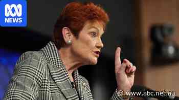 Live: Hanson 'doesn't care' if businesses are impacted by permanent migration cut