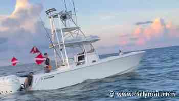 Fight erupts between lobster diving boats as man allegedly cuts off teenager's air supply before being hauled to court on attempted murder charge