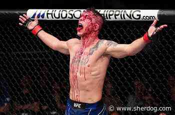 Darren Elkins reveals why he's walking away after UFC Vegas 120