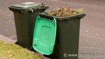 Western Australia rolls out new FOGO bin rule: 'It's so important'