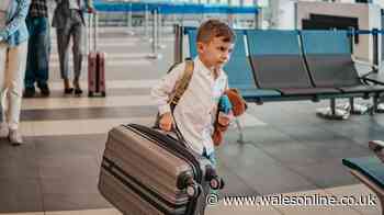 TUI, Ryanair, easyJet and Jet2 warning on common kids' toy that is banned from flights
