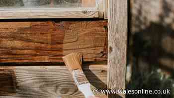 Easily paint garden fences using an everyday 46p item — no brush required