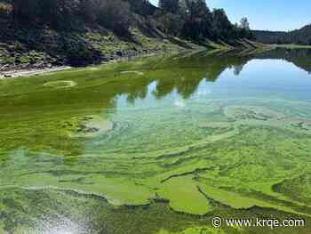 Quemado Lake closed due to toxic algae