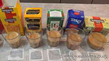 I tried British tea brands from PG Tips to Yorkshire — 42p bag beat Twinings