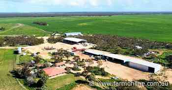 Buyer's choice | Two large cropping properties join sales market together