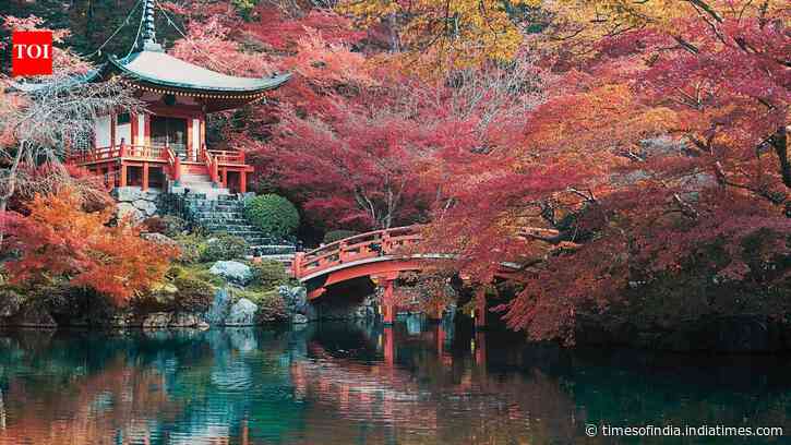 Indian Railways launches 10-day Japan tour from Delhi