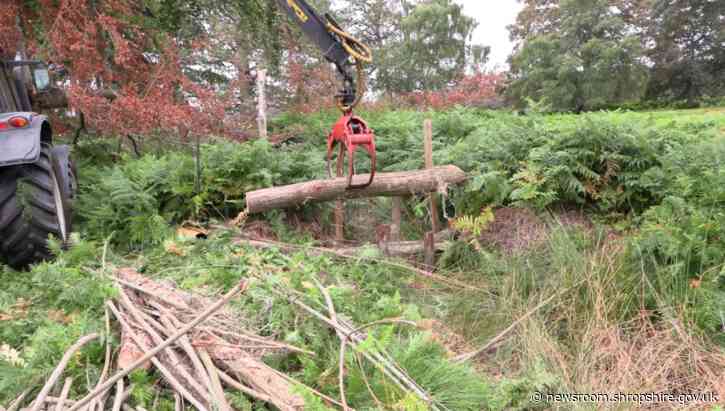 Ditch blocking project to help water management across historic estate