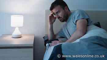 People 'sleeping in kitchen' during UK heatwave says Citizens Advice