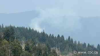 Wildfire breaks out in Metro Vancouver's Belcarra Regional Park