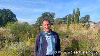 Monty Don's vital gardening advice for tomato plants for 'maximum fruit'