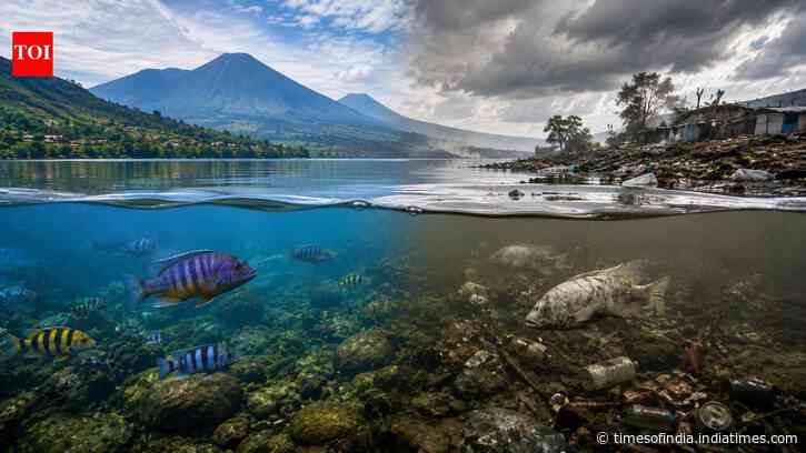 African Great Lakes hold 25% of Earth's freshwater as unique species face extinction