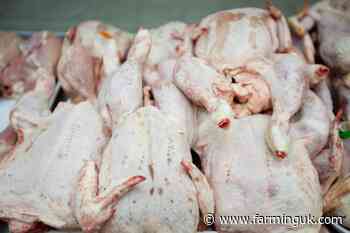 UK farm unions demand tougher Brazilian meat safeguards