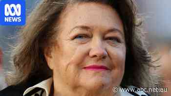 'Doesn't meet the pub test': ABC apologises to Rinehart over TV show reference