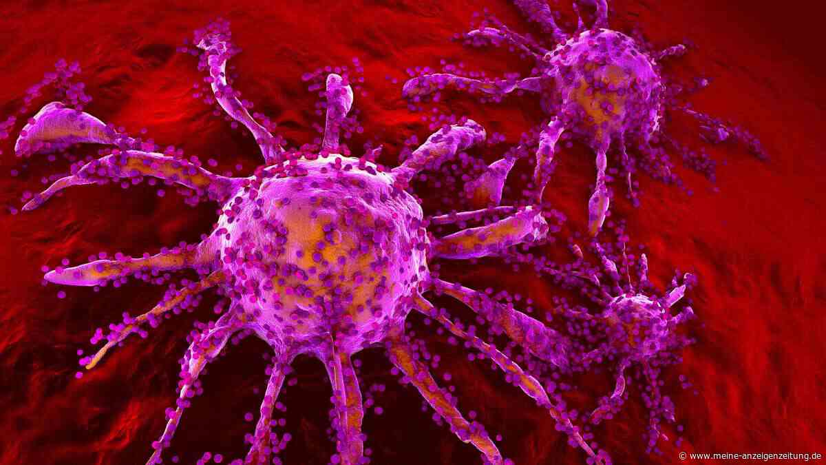 Ein Nahrungsergänzungsmittel könnte dem Immunsystem helfen, Krebs zu bekämpfen