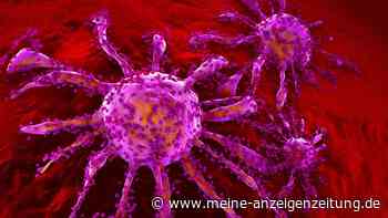 Ein Nahrungsergänzungsmittel könnte dem Immunsystem helfen, Krebs zu bekämpfen