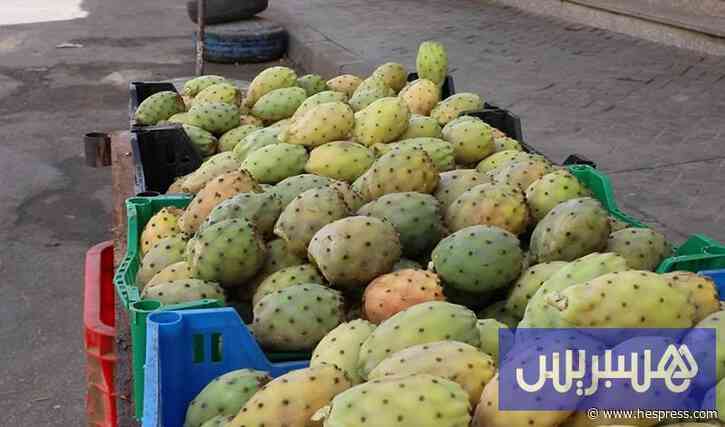 تعافي إنتاج "فاكهة الفقراء" يصطدم باستمرار &#