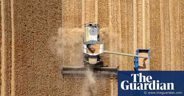 Adapting to global heating: which UK public services are struggling in hot weather?