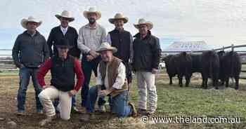 So Right outcome as Tivoli Angus auction exceeds expectations at Merriwa