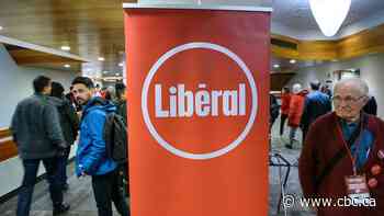 As Ford's popularity falls, Ontario's Liberal leadership race heats up