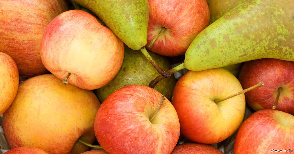 Minder appels en peren dit jaar door droge zomer en hagelbuien