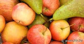 Minder appels en peren dit jaar door droge zomer en hagelbuien