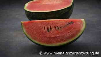 Der Sommer-Tipp: So bleibt Ihre Wassermelone monatelang frisch