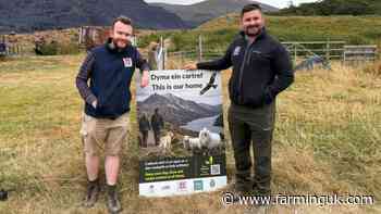 Summer campaign targets livestock attacks in Snowdonia