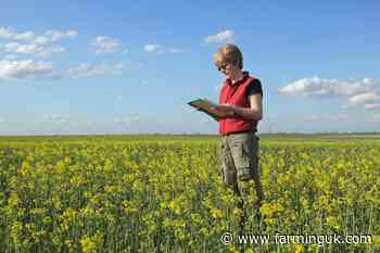 New workshops aim to connect women across farming