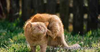 House of Lords committee calls for ban on over-the-counter flea and tick treatments