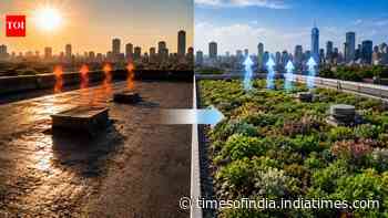 Scientists reveal how green roofs cut rooftop temperatures by 40°F