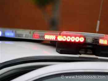 Toledo Crime Log: 8/6