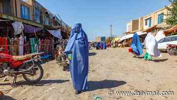 Taliban morality police round up females - despite them wearing hijabs - as the group ramps up 'psychological abuse' on Afghan women