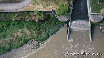 Environment Agency tests find staggering 85% of England's rivers fail water quality threshold