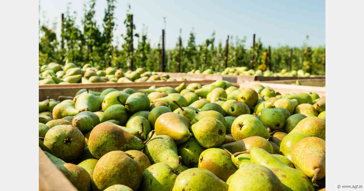 Prognosfruit 2026: Europese appeloogst fors kleiner, perenoogst juist groter