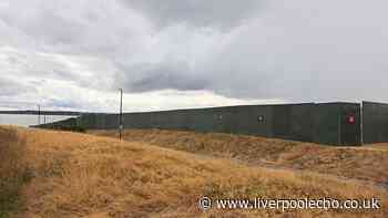 Massive green walls have gone up in Liverpool - here's why