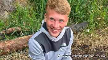Tributes paid to County Durham teenager 'cruelly snatched' from family after crash