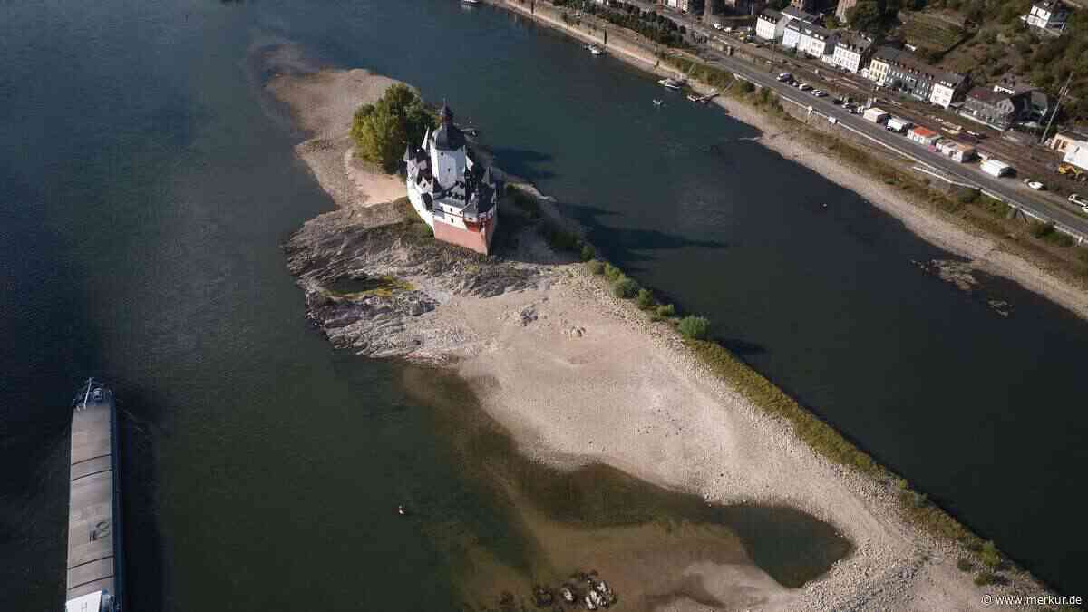 Niedrigwasser-Krise: Lemke warnt vor „politischem Großversagen“ – Bilger berät mit Branche