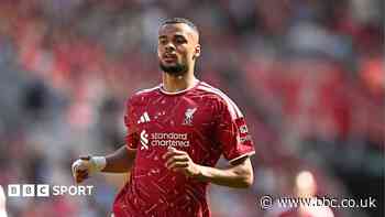 A wanted man - but would Liverpool's Gakpo be a good fit at Spurs?