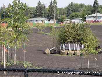 Pop-up lakes: How Edmonton area dry ponds help flood control in heavy rains
