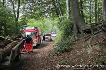 Kind nach Unfall in Bünder Wald in Lebensgefahr