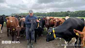 Farmers turning to vending machines for 24/7 boost