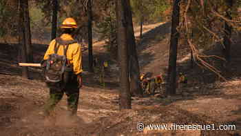 850 buildings destroyed, 67,000 remain evacuated as Wash. wildfires burn