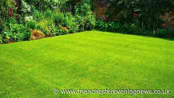 Gardeners told to scatter one bathroom item on grass for 'thicker and greener' lawns