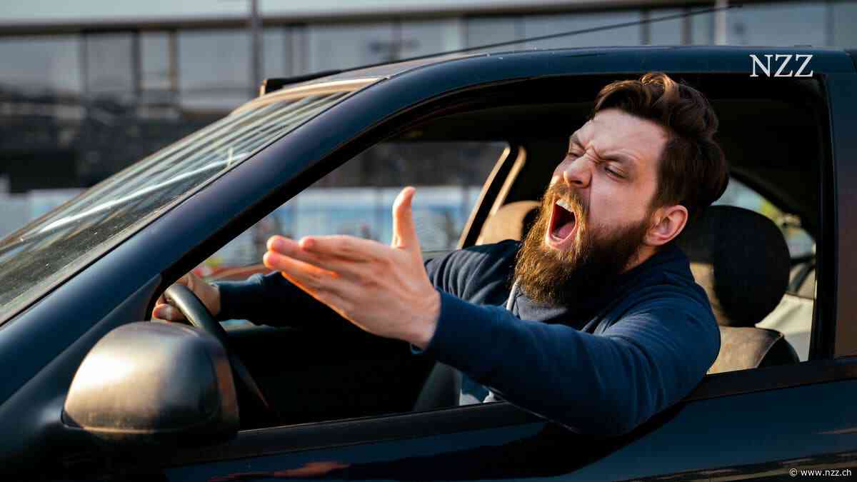 «Pro Grad steigender Temperatur wird ein Prozent mehr Menschen umgebracht», sagt der Aggressionsforscher