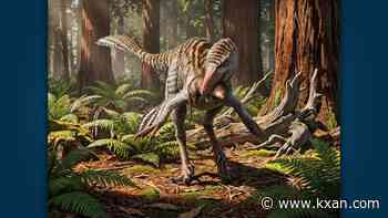 New dinosaur species identified in New Mexico, researchers say