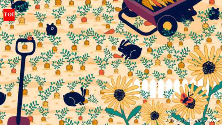 Optical illusion brain teaser: Find the diamond ring hidden among piles of carrots and bunnies; You are a genius if you spot it in a minute!