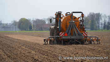 Mestbubbel Friesland slinkt tot normalere proporties