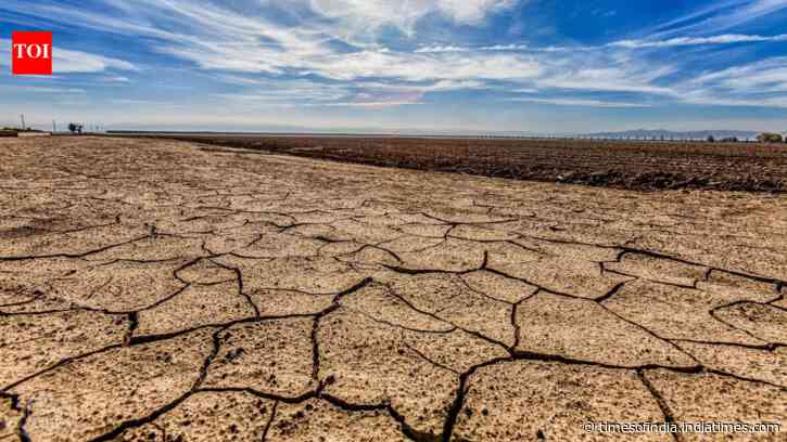 California's 2020 drought may have permanently damaged a key underground aquifer